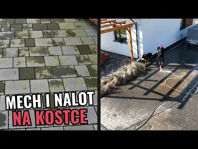 Skuteczne sposoby na usunięcie zielonego nalotu z płotu bez chemii