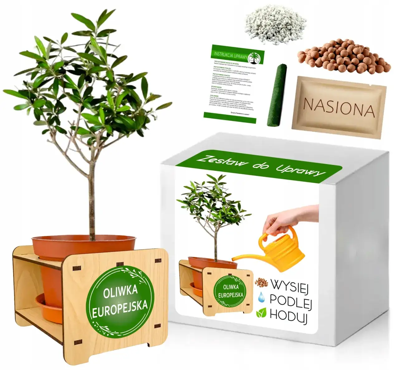 Jaka ziemia do oliwki? Odkryj idealne podłoże dla zdrowych drzewek