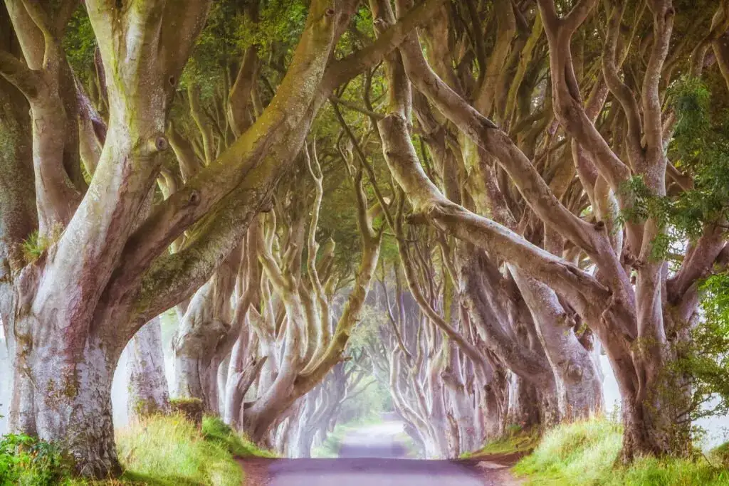 Niezapomniane atrakcje w Irlandii Północnej, które musisz zobaczyć