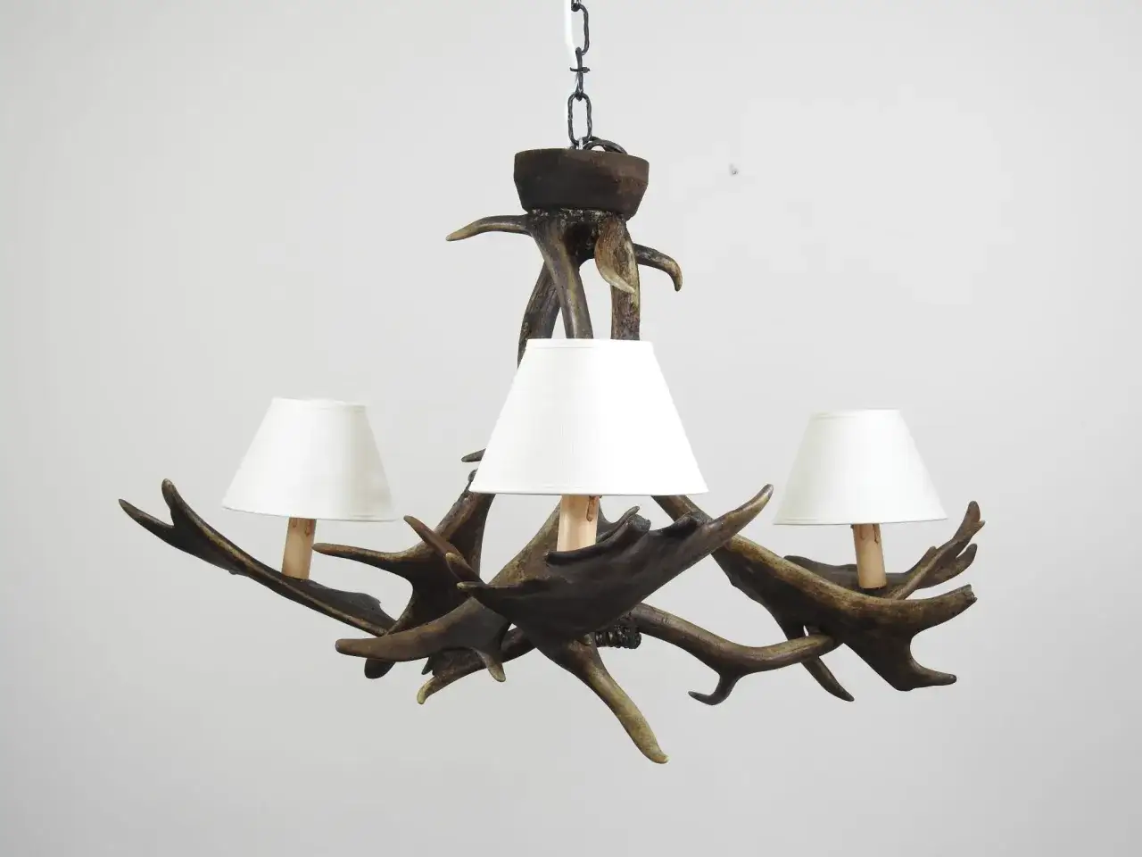 Oryginalny żyrandol z poroża jelenia, który pokazuje, jak zrobić taki unikatowy dodatek do domu.