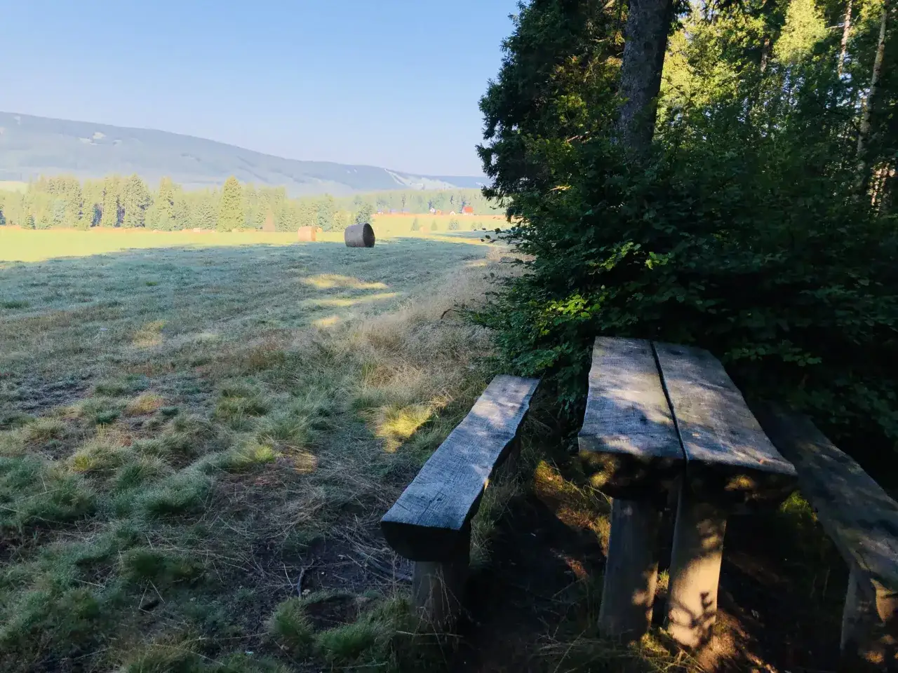 Zieleniec atrakcje: odkryj niezapomniane miejsca na każdą porę roku