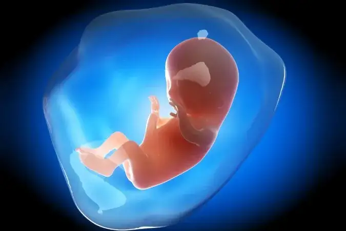 Pierwszy trymestr ciąży: Ile trwa? Co dzieje się z Tobą i dzieckiem?