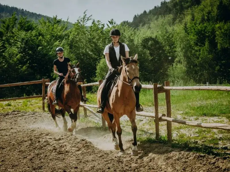 Stadnina koni Zielona Góra - najlepsze miejsca na jazdę konną