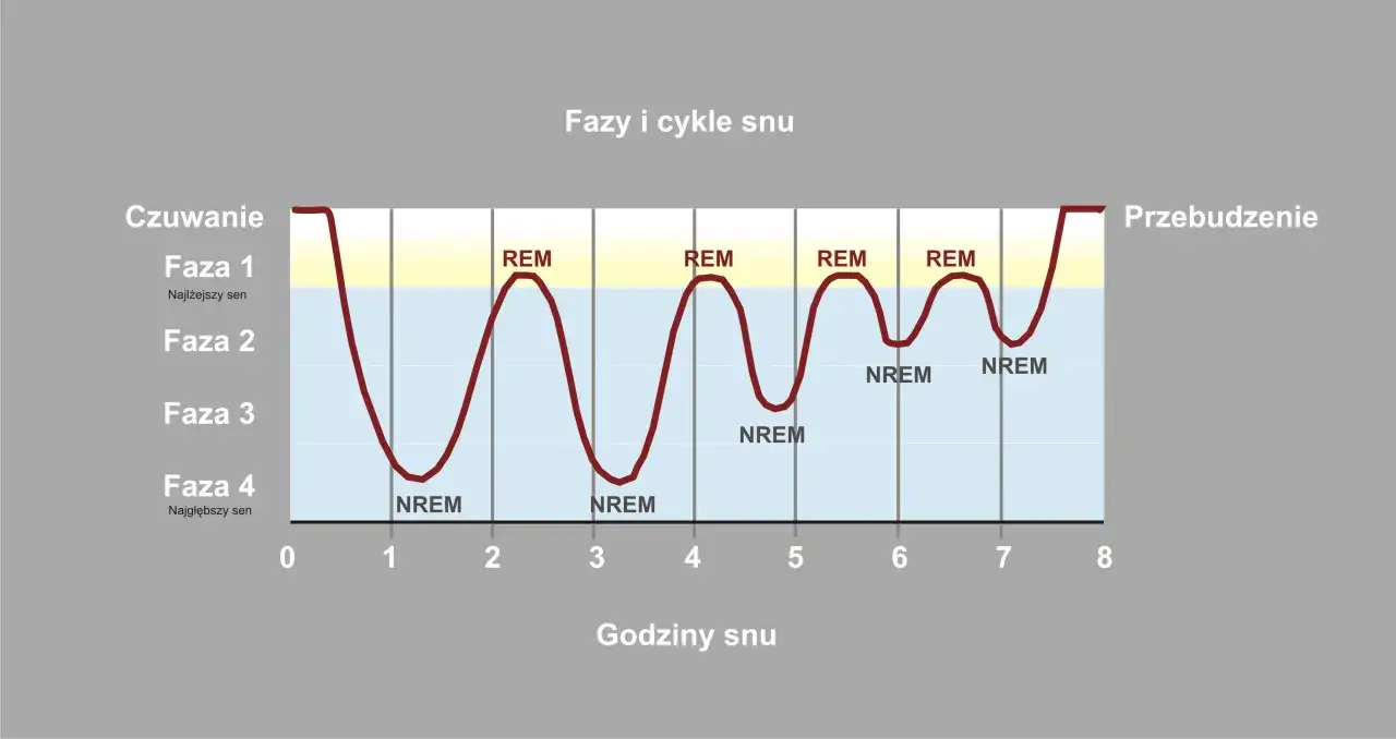 Wykres przedstawia cykle snu, pokazując różne fazy snu (REM i NREM) w ciągu nocy.