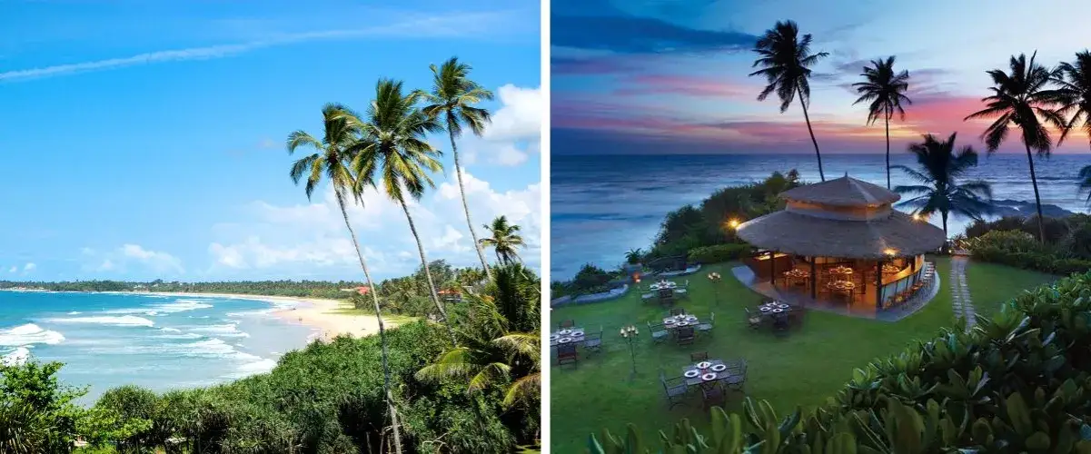 Najlepsze atrakcje w Sri Lance, które musisz zobaczyć podczas podróży