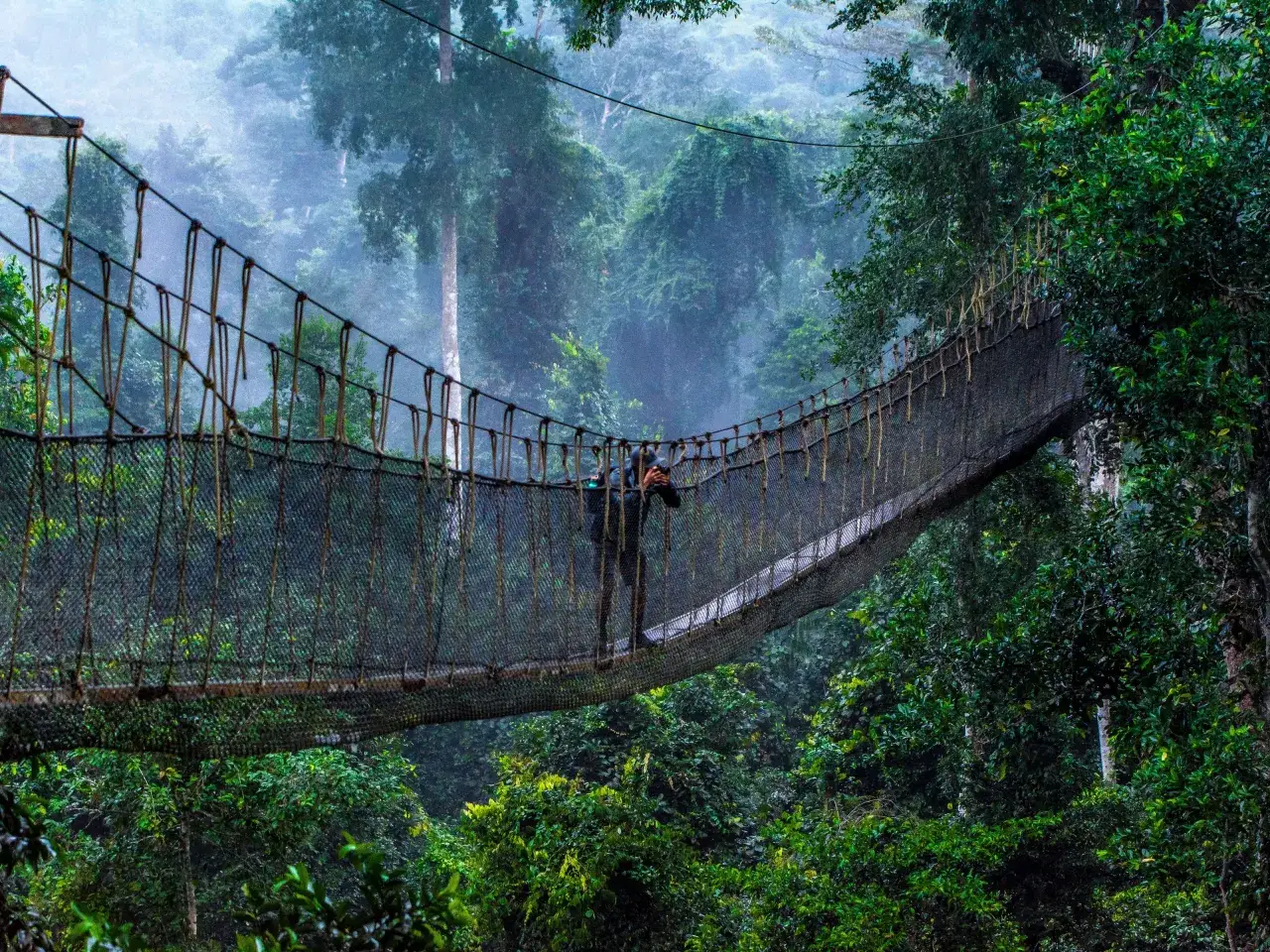 Most turystów zastanawia, czy Ghana jest bezpieczna. Ten wiszący most w gęstej dżungli to dowód, że przygoda czeka!