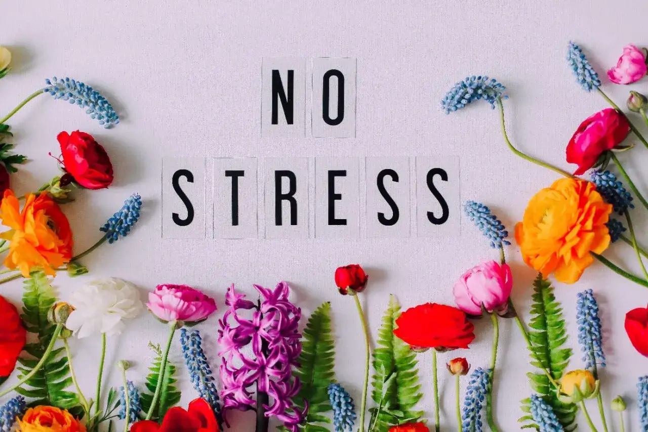 Kwiaty i litery "NO STRESS" tworzą radosną kompozycję, która budzi pozytywne emocje i spokój.