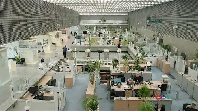 Gdzie jest NBP? Sprawdź lokalizację i oddziały w Polsce