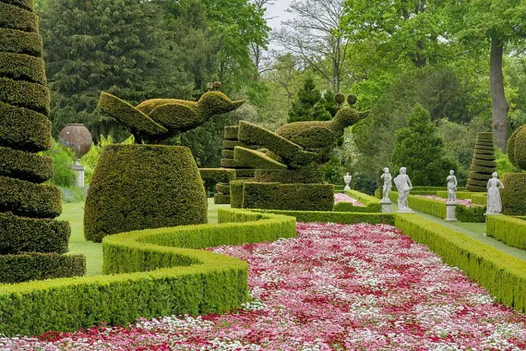 Rzeźby w drzewie: Odkryj fascynujący świat sztuki rzeźbienia