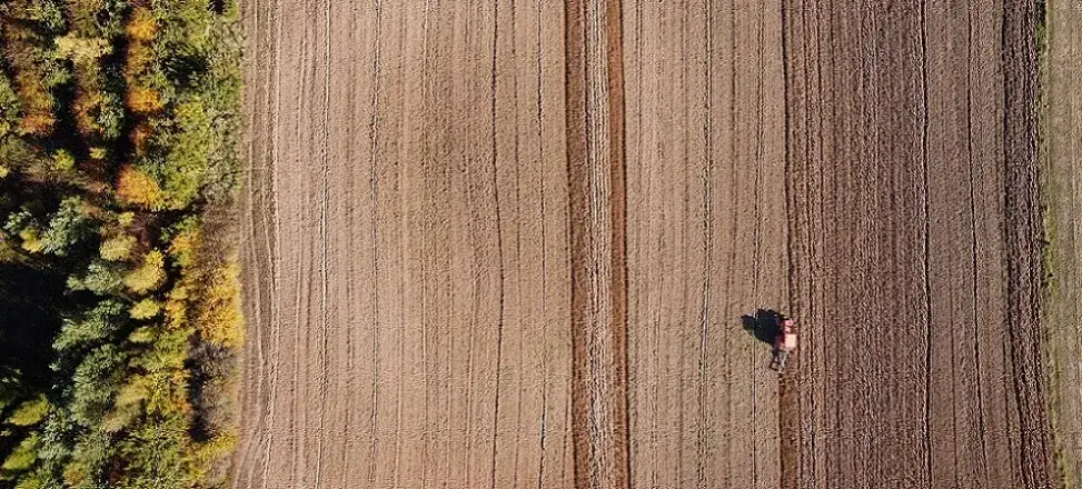 Klimat monsunowy – kluczowe cechy i wpływ na rolnictwo