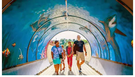 Najlepsze atrakcje we Władysławowie, które musisz zobaczyć na wakacjach