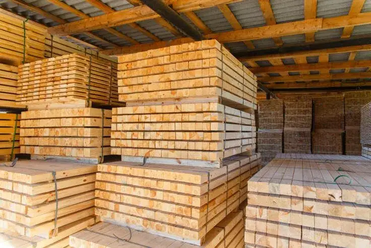 Ile kosztuje drzewo na dach 200m2? Sprawdź ceny i rodzaje drewna