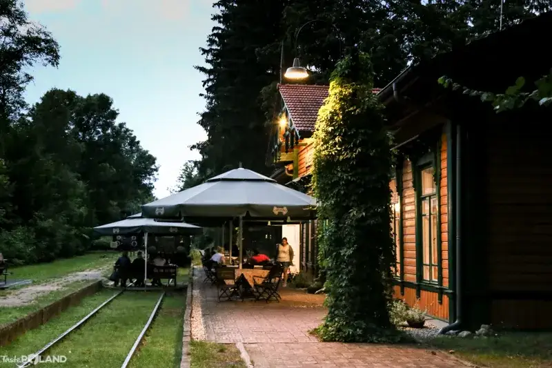 Białowieża: Gdzie zjeść? Od carskich smaków po dziczyznę!