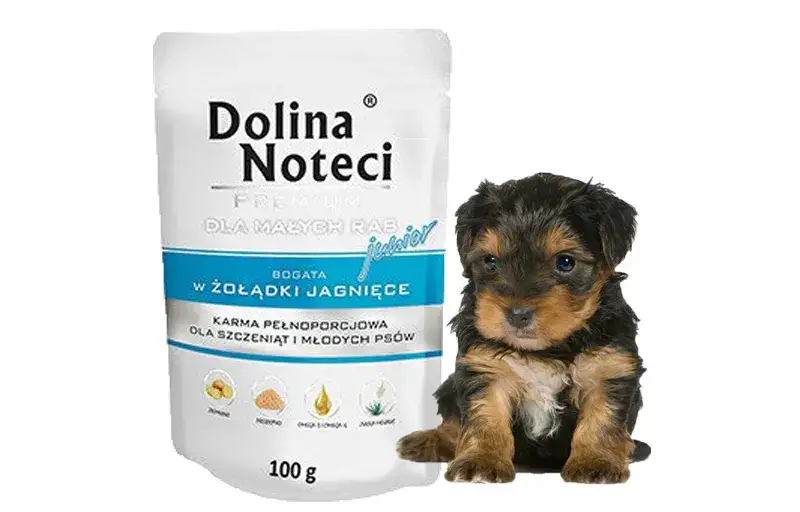 Czy Dolina Noteci to dobra karma dla psa? Sprawdź, co mówią opinie