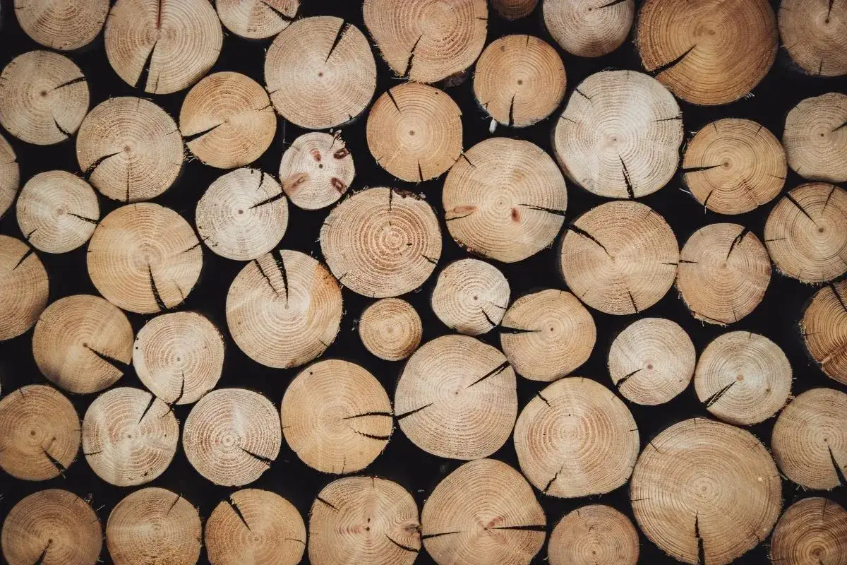 Drewniane plastry ułożone w stos, tworzące naturalne wzory i inspiracje do projektów.