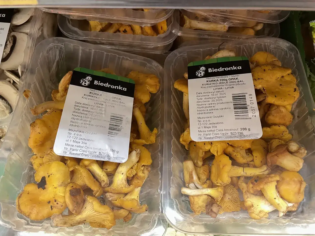 Po ile kurki na skupie – sprawdź aktualne ceny i różnice regionalne