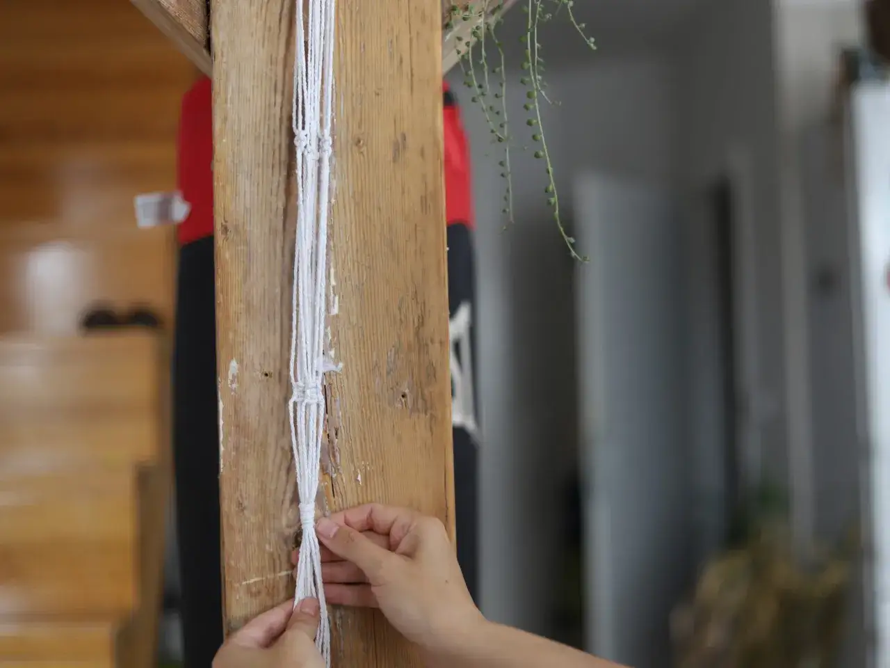 Jak zrobić kwietnik na ścianę? DIY: drewno, makrama, kratka!