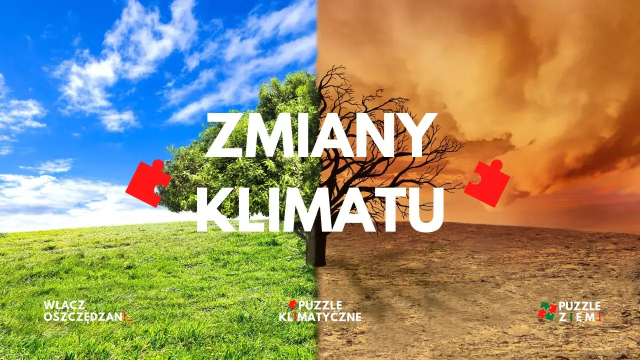 Obraz symbolizuje zmiany klimatyczne na ziemi: bujną zieleń po lewej i pustynię po prawej.