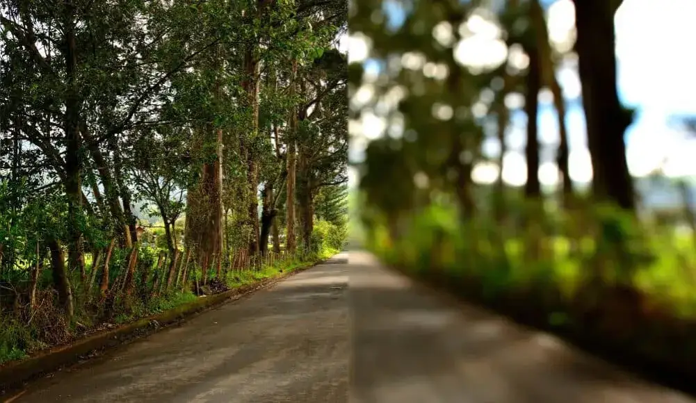 Jak widzisz świat z astygmatyzmem? Objawy, przyczyny i korekcja