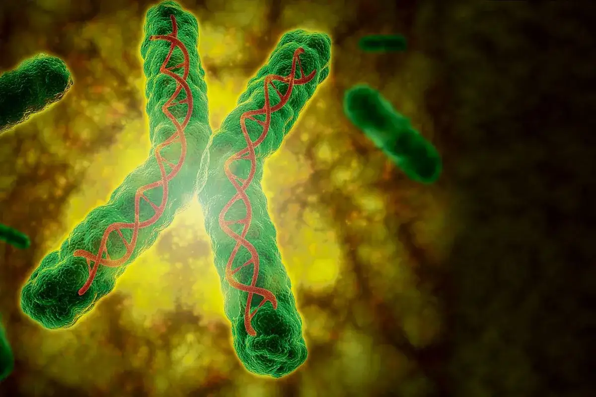 Jak rozmnażają się organizmy? Poznaj różne metody i mechanizmy