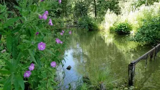 Czarna Białostocka atrakcje: odkryj niezwykłe miejsca i przyrodę
