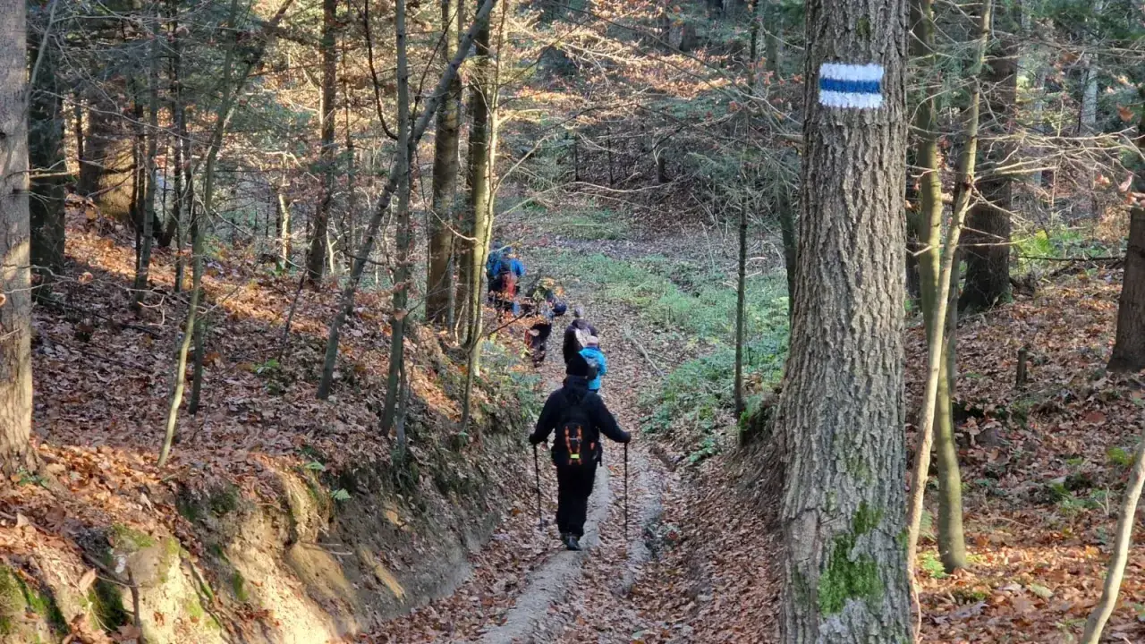 Niebieski szlak: Dalekobieżny czy trudny? Znamy odpowiedź PTTK!