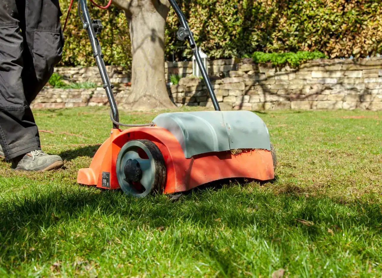 Aeracja trawnika: Kiedy? Sprawdź idealne terminy i rady eksperta
