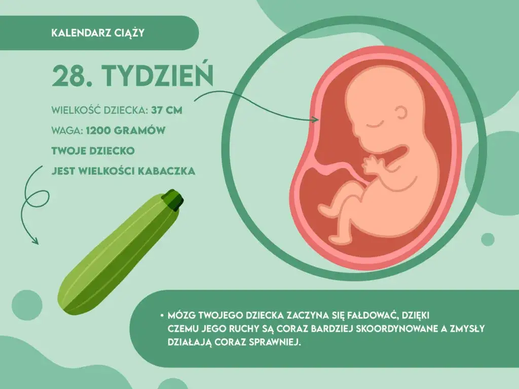 28. tydzień ciąży: 7. miesiąc i III trymestr co musisz wiedzieć?