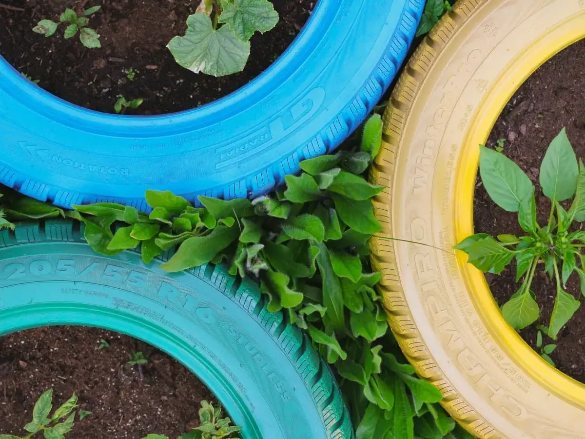 Kolorowe opony pomalowane na niebiesko, zielono i żółto, użyte jako donice dla roślin.