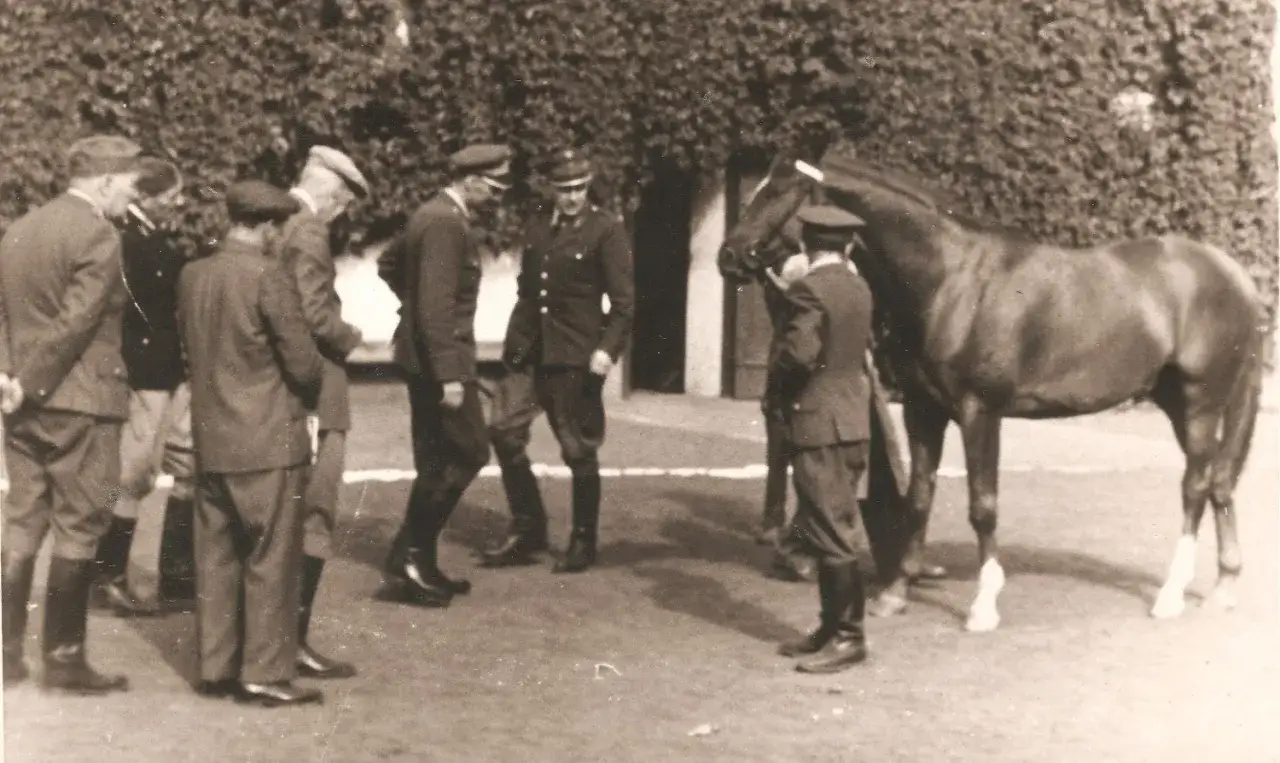 Stadnina koni w Wernejówce: historia, tragedia i piękno górskiej okolicy