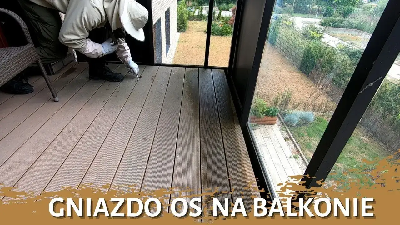 Jak odstraszyć pszczoły z balkonu i cieszyć się spokojem na świeżym powietrzu