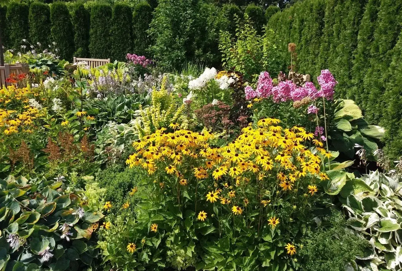 Siew kwiatów do gruntu: Jak mieć bujny ogród bez błędów?