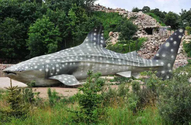 Oceanarium Władysławowo - Niezapomniane atrakcje i edukacja dla każdego