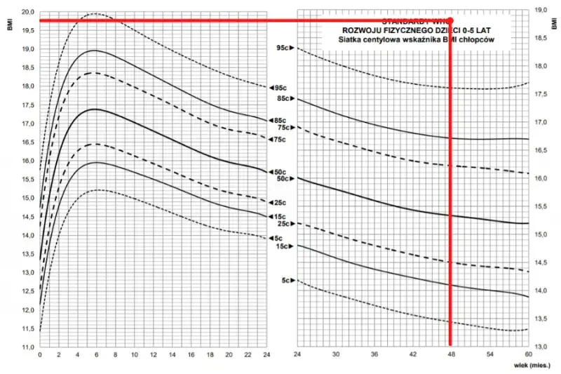Jak obliczyć BMI kalkulator - proste kroki do zdrowia i formy