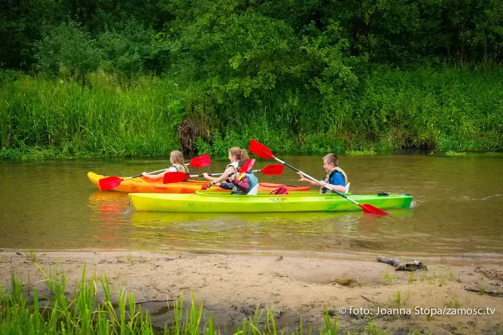 Spływy kajakowe Zwierzyniec: Jak zaplanować idealny spływ?