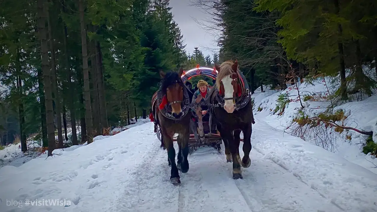 Wisła zimą: co robić? Narty, kuligi i atrakcje dla całej rodziny