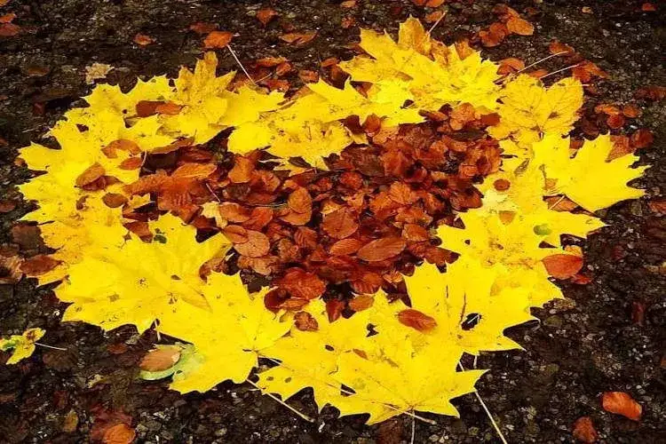 Złota jesień wiersz – piękno polskiej poezji o nostalgii i emocjach