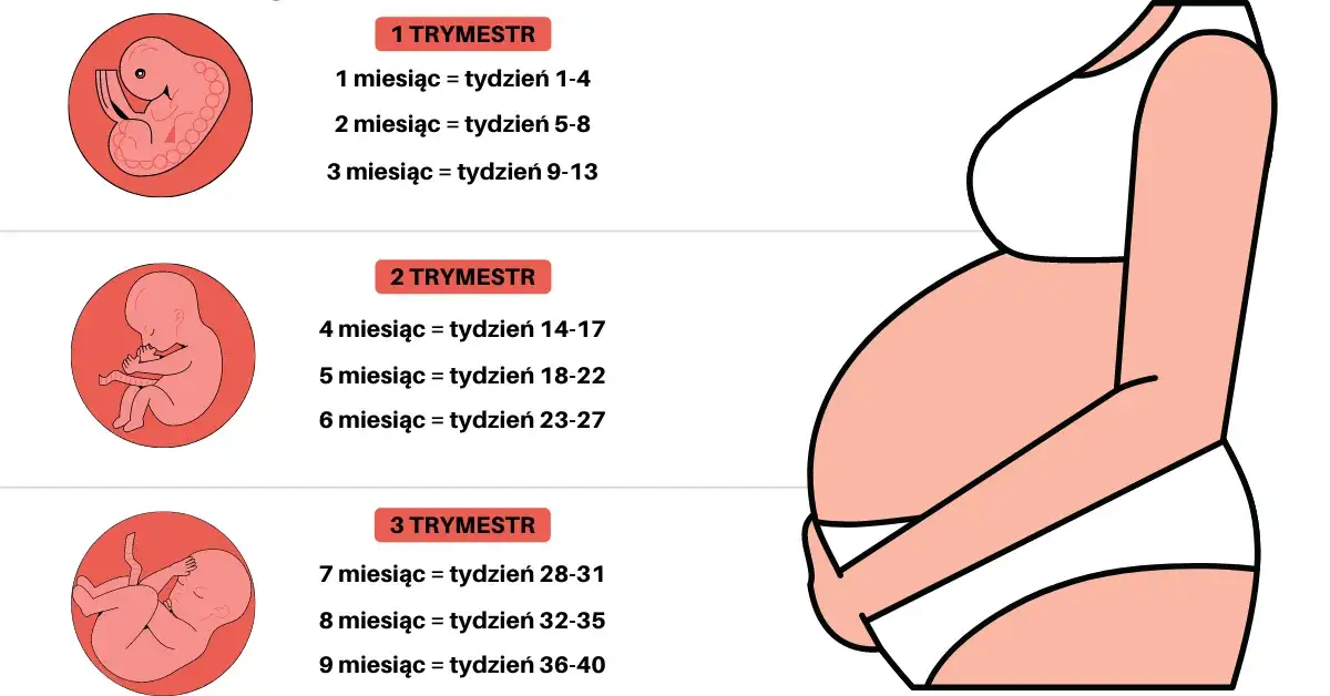 Morfologia a ciąża: Fakty i mity o rozpoznawaniu ciąży