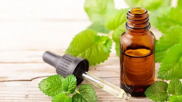 Gdzie kupić balsam szostakowskiego? Sprawdź najlepsze oferty