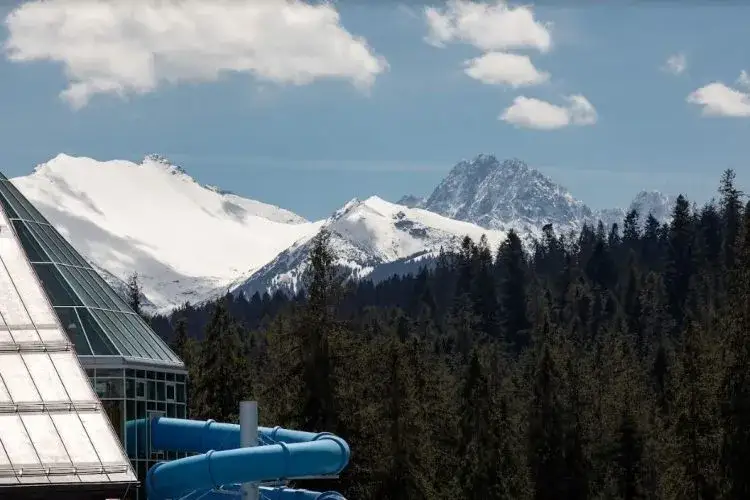 Bukowina Tatrzańska: Jaki stok wybrać? Przewodnik dla narciarzy