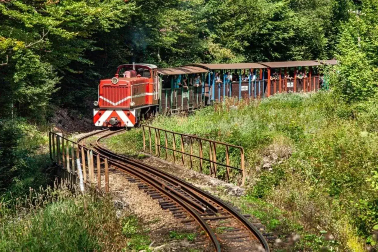 Czerwona lokomotywa ciągnie wagony pełne ludzi przez zielony las. Bieszczadzka kolejka leśna w pełnej krasie.