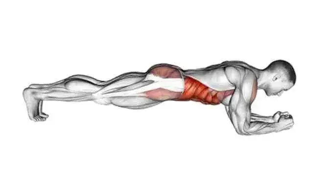 Co daje deska? Klucz do silnego core, postawy i płaskiego brzucha