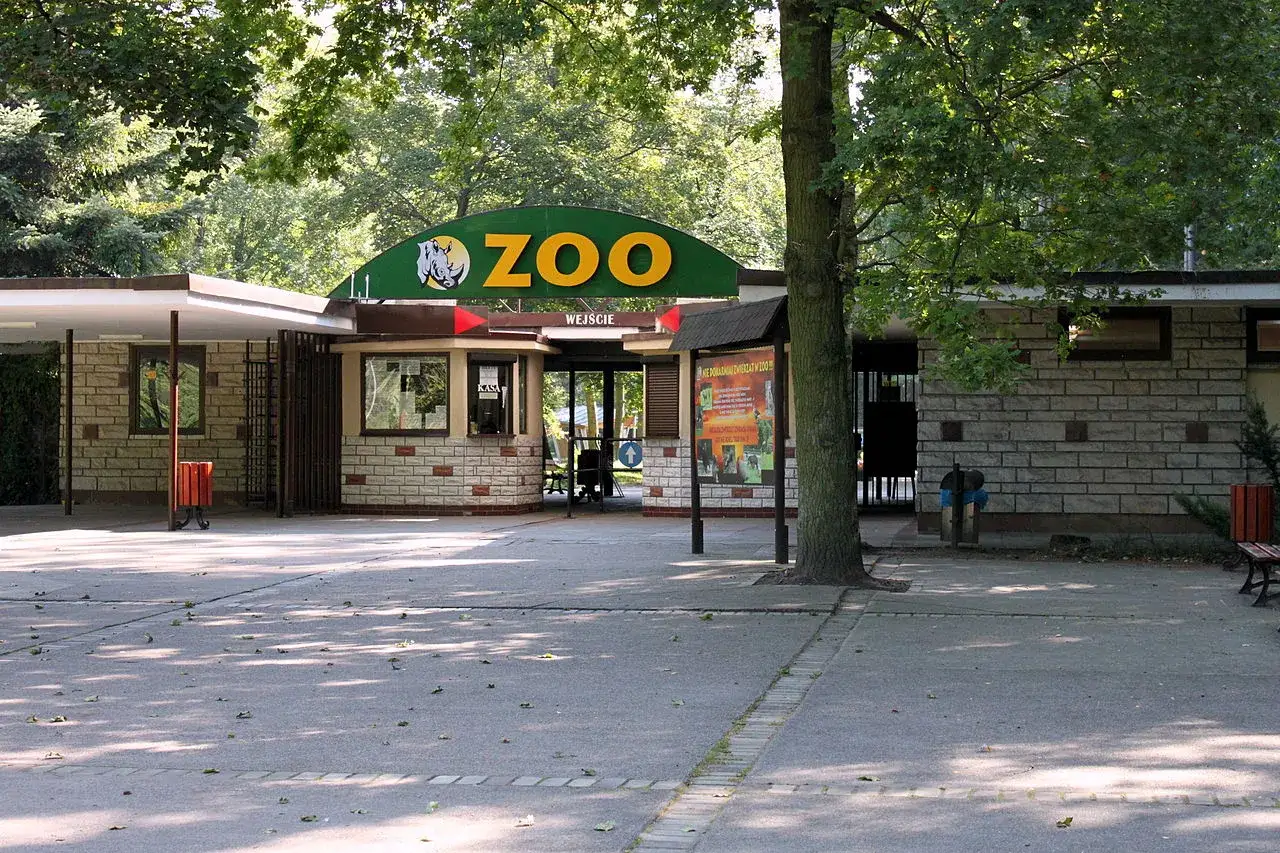 Wejście do zoo w Poznaniu. Jak dojechać z dworca PKP? Tu kupisz bilety i wejdziesz do świata zwierząt.