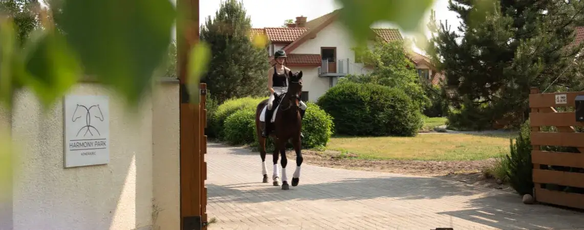Stajnie koni z noclegiem – komfortowe miejsca na wypoczynek i jazdę