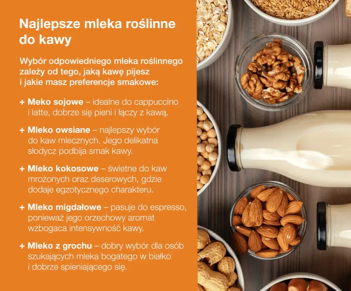 Jakie mleko roślinne wybrać? Poznaj różnice i najlepsze opcje