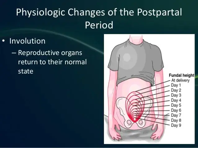 Kiedy brzuch po porodzie wróci do normy? Sprawdź, jak długo to trwa i co przyspiesza powrót do formy