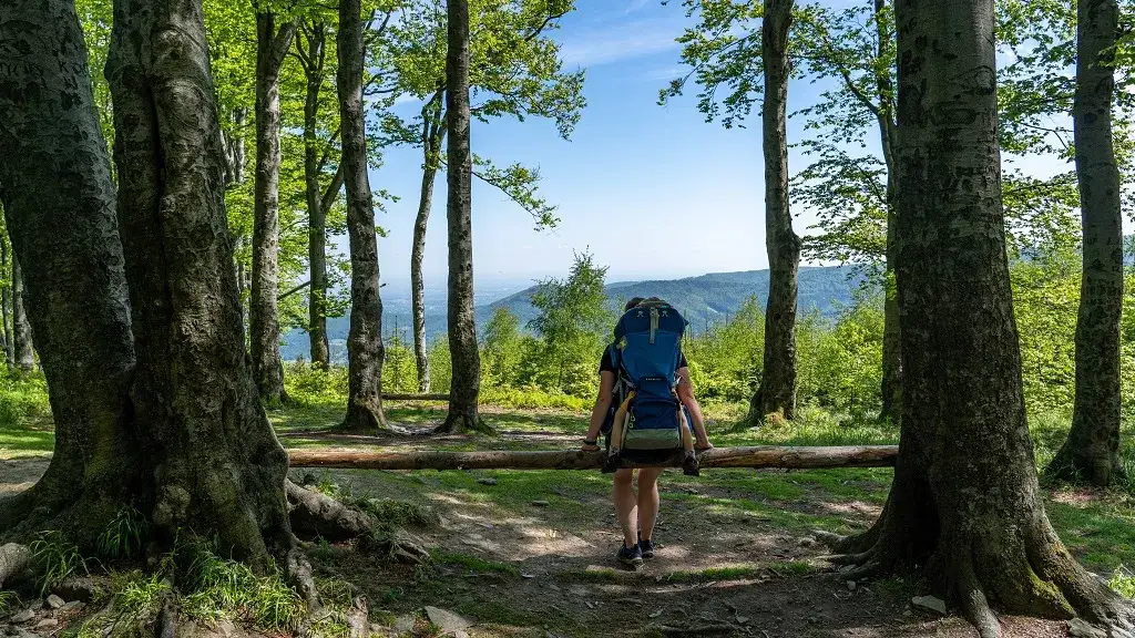 Jak dojechać z Warszawy do Ustronia Górskiego - szybkie i tanie opcje
