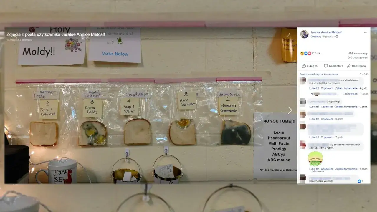 Eksperyment z chlebem: Najlepsza lekcja higieny dla dzieci.