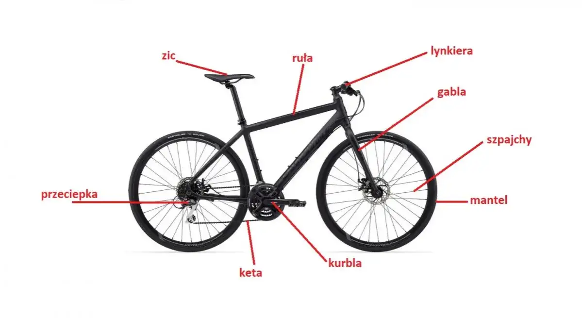 Z jakich części składa się rower? Kluczowe elementy budowy, które musisz znać