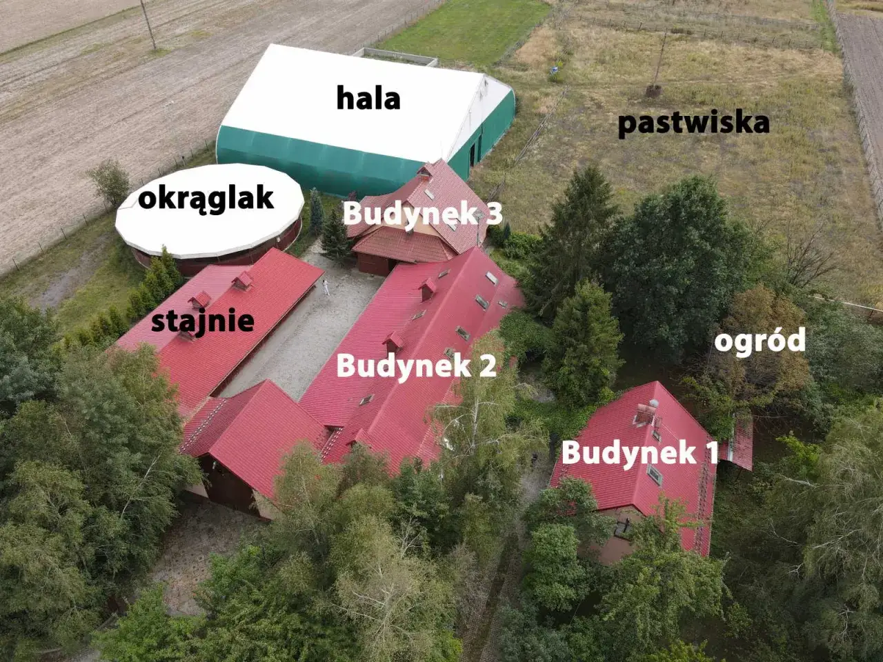 Widok z lotu ptaka na stadninę koni z budynkami, halą, okrąglakiem i pastwiskami.